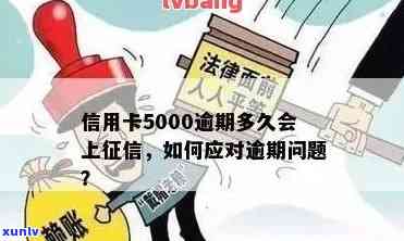 中信信用卡5000逾期一年未还，结果严重！