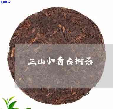 昔归正山古树茶价格-昔归正山是哪里