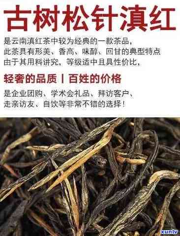 云南松针红茶多少钱-云南松针红茶多少钱一斤啊