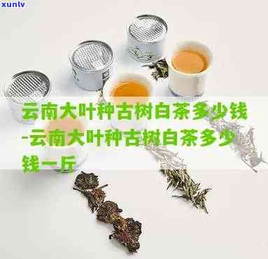 云南大叶种茶多少钱-云南大叶种茶价格