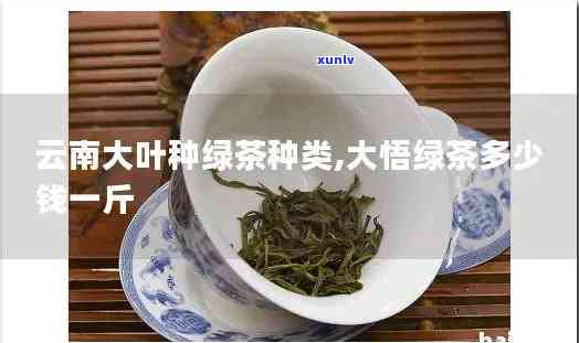 云南大叶种茶多少钱-云南大叶种茶价格