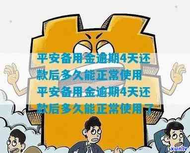 平安备用金逾期一天-平安备用金逾期一天忘还了会影响信用吗?