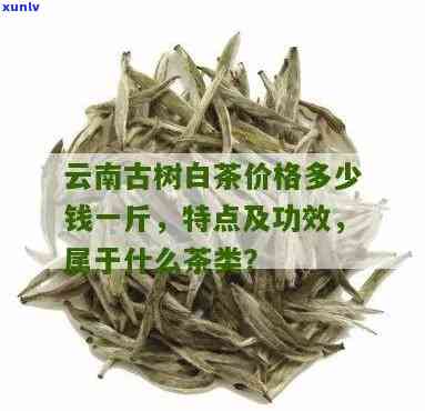 云南古树白茶多少钱一盒？最新价格信息！