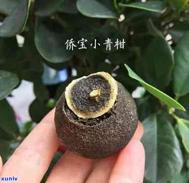 侨宝柑普茶价格罐装-侨宝柑普茶价格罐装多少钱