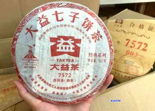 大益7552好喝吗？与7572相比如何？