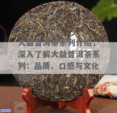 大益茶哪个品种好喝？全面解析各品种口感与香气