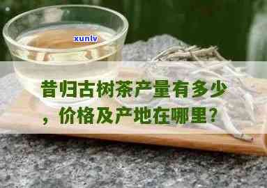 昔归古树茶一年产量多少吨？求解！