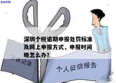 深圳个税逾期了可以网上申报吗，深圳个税逾期后，是不是可以通过网上申报？