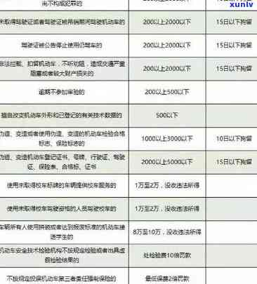 深圳个税逾期申报处罚标准：详细解析与最新规定