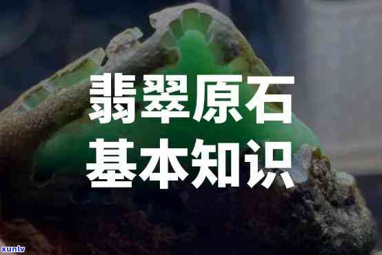 翡翠原石专业术语，探秘翡翠原石世界：关键术语解析与应用