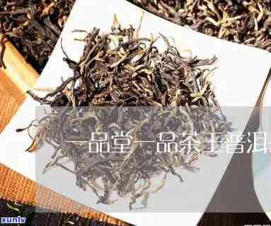 一品堂昔归古树茶-一品堂昔归茶王价格