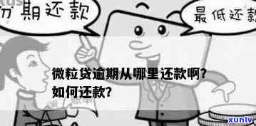 深圳美微贷逾期解决  全攻略