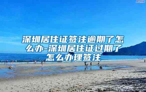 深圳居住证逾期签注怎么办？详细流程及所需手续