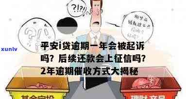 平安i贷一年未还会产生什么结果？会被告上法庭吗？逾期多年是不是会被判刑？