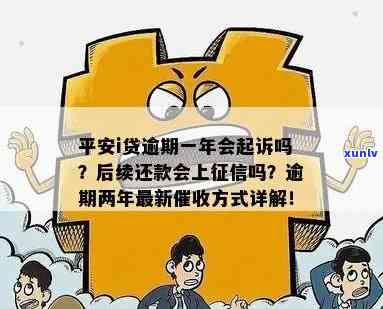 平安i贷一年未还会产生什么结果？会被告上法庭吗？逾期多年是不是会被判刑？