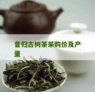 昔归古树茶多少1斤，探寻昔日古韵，品尝古树茶香：一斤价格揭晓！