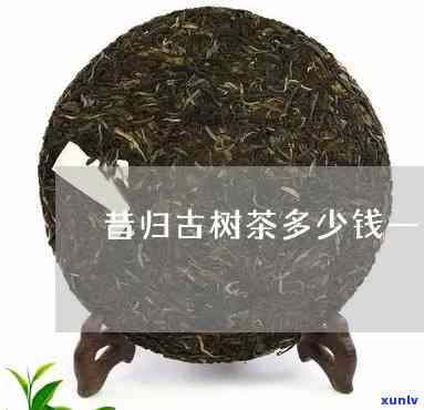 昔归古树茶多少钱一饼，探秘昔归古树茶：市场价格分析与选购指南