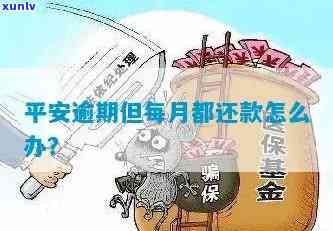 平安金所逾期一天-平安金所逾期一天会怎么样