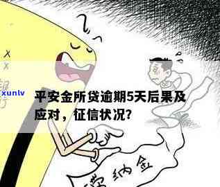 平安金所逾期一天-平安金所逾期一天会怎么样