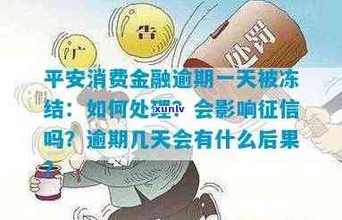 平安金所逾期一天-平安金所逾期一天会怎么样