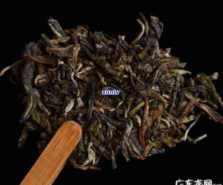 昔归古树茶六大特点-昔归古树茶有哪些特点?