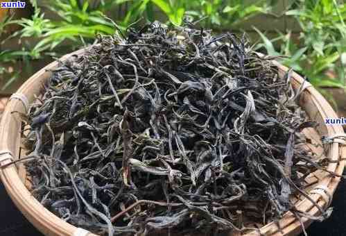 昔归古树茶价位一斤-昔归古树茶多少钱一斤