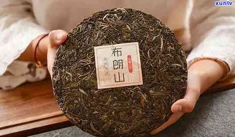 云南布朗山普洱茶特点：高档次茶叶的价格一览