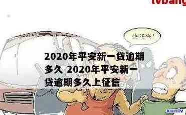 平安新一代1次逾期-平安新一代1次逾期会怎样