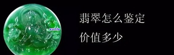 全面了解老同志普洱茶价格：、年份、规格等多方面查询指南