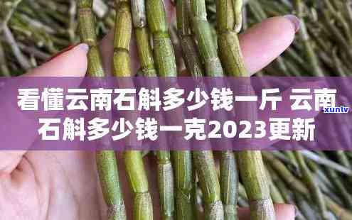 云南石斛2023年价格表及图片全览