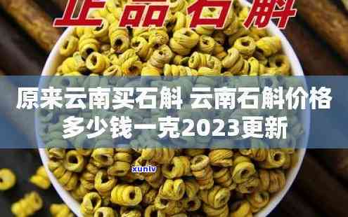 云南石斛2023年价格表及图片全览