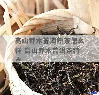 下关高山木熟茶怎么样，品鉴报告：下关高山木熟茶的口感与特点