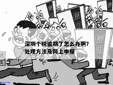 深圳个税逾期了可以网上申报吗，深圳个税逾期后，怎样实施网上申报？