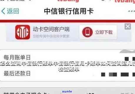 如何查看中信逾期账单明细记录？