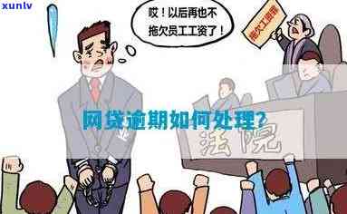 网贷逾期六个月怎么办？解决办法及解决流程全解析