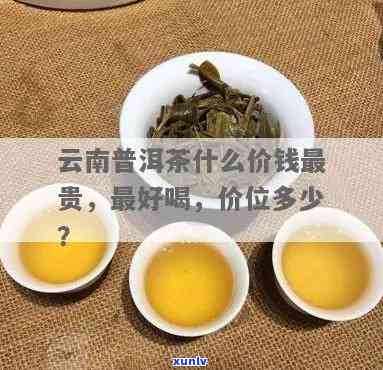 云南最贵的茶在哪里-云南最贵的茶在哪里买