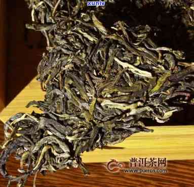 探索昔归古树茶的独特口感：四大特征解析