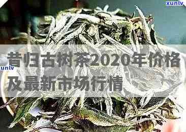 分享一号昔归古树茶-昔归古树茶2020年价格