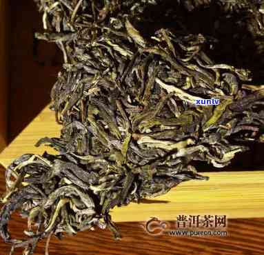 昔归古树茶能冲几泡-昔归古树茶如何冲泡