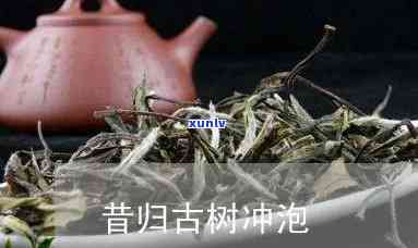 昔归古树茶能冲几泡-昔归古树茶如何冲泡