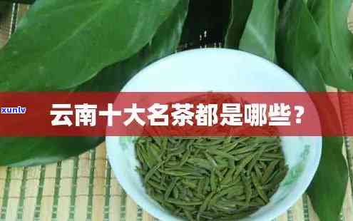 云南的名茶有哪几种，探寻云南的名茶：种类大全