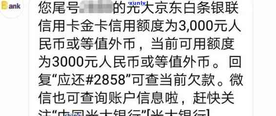 光大银行小白卡逾期怎么办，光大银行小白卡逾期解决  全解析