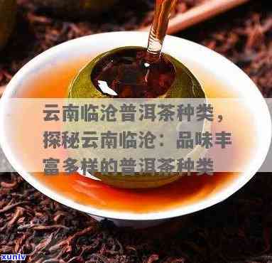 云南临沧有哪些茶，探索云南临沧的茶文化：你不能错过的茶叶种类