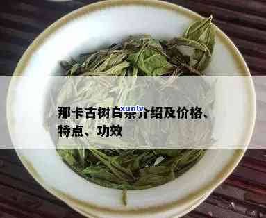 那卡古树茶：树龄、价格与特点全解析