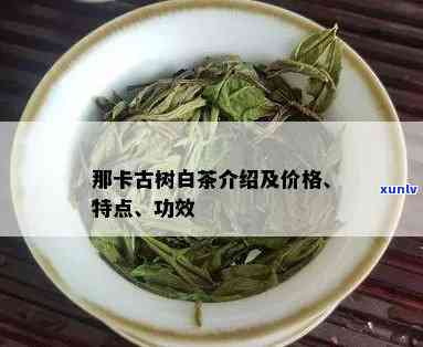 那卡古树茶分为几种-那卡古树茶特点