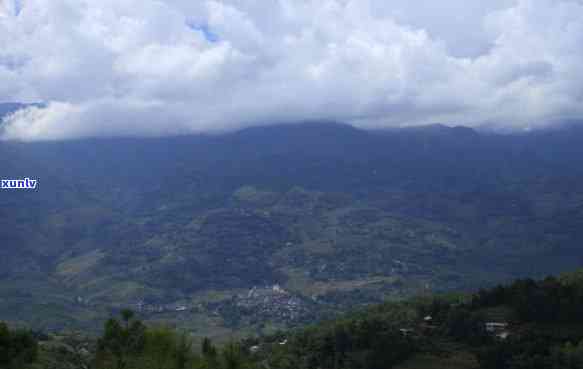 坝糯古树茶地理位置-坝糯古树茶特点什么地区