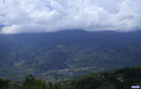 坝糯古树茶地理位置-坝糯古树茶特点什么地区