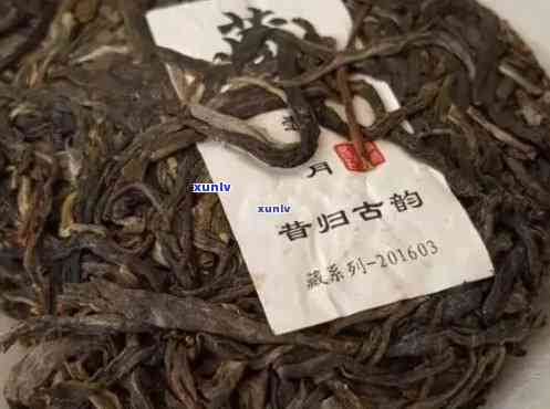 昔归古树茶有什么特点，探秘昔归古树茶的独特特点