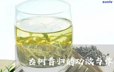 昔归古树茶营养价值-昔归古树茶的功效