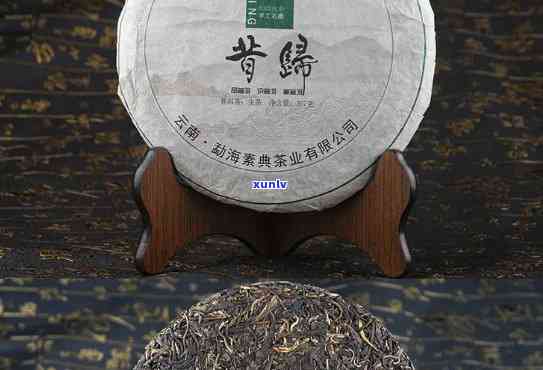 昔归古树茶树龄：揭秘2009年最老茶树及其价格